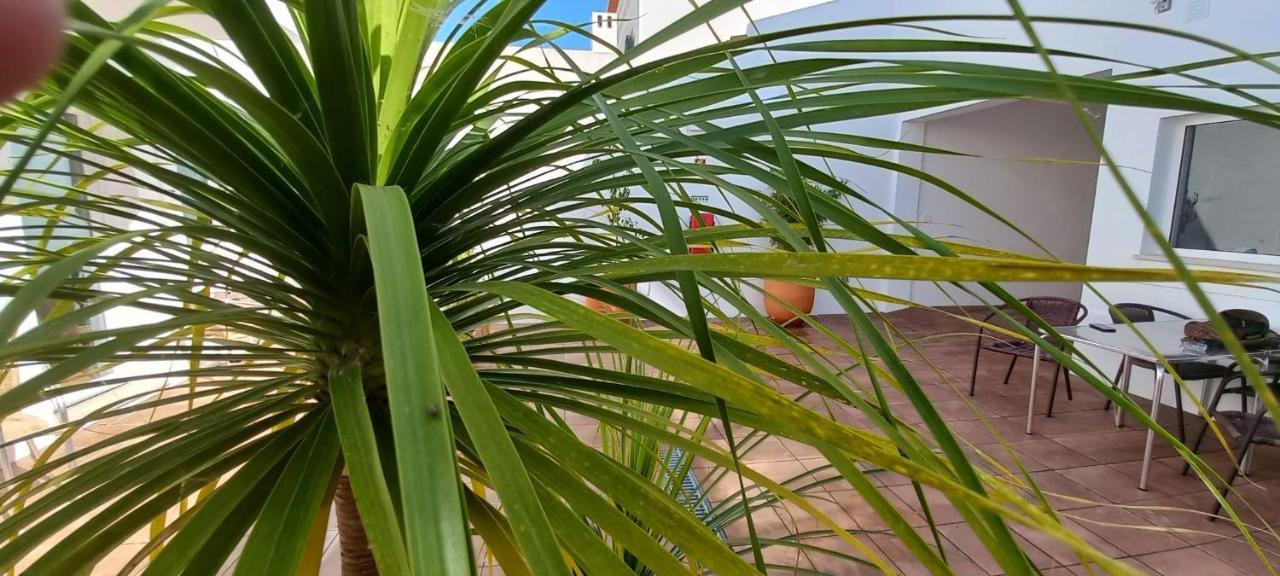 Apartamentos Naturalis فيلا نوفا دو ميلفونتس المظهر الخارجي الصورة